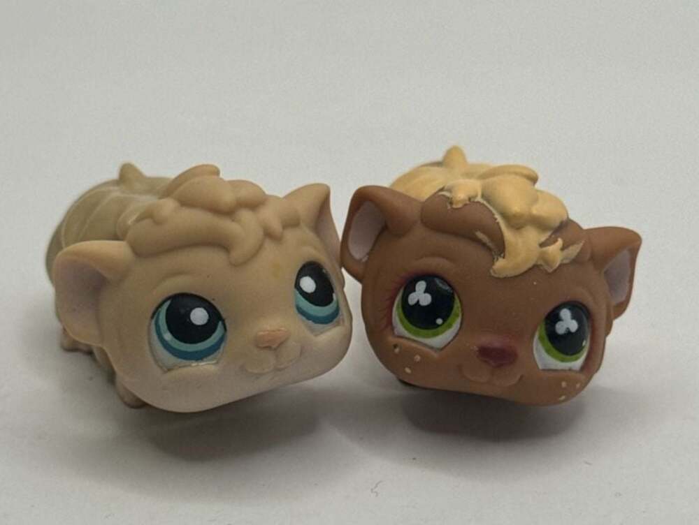 Vintage Littlest Pet Shop LPS Guinea Pig Lot #510 and #753